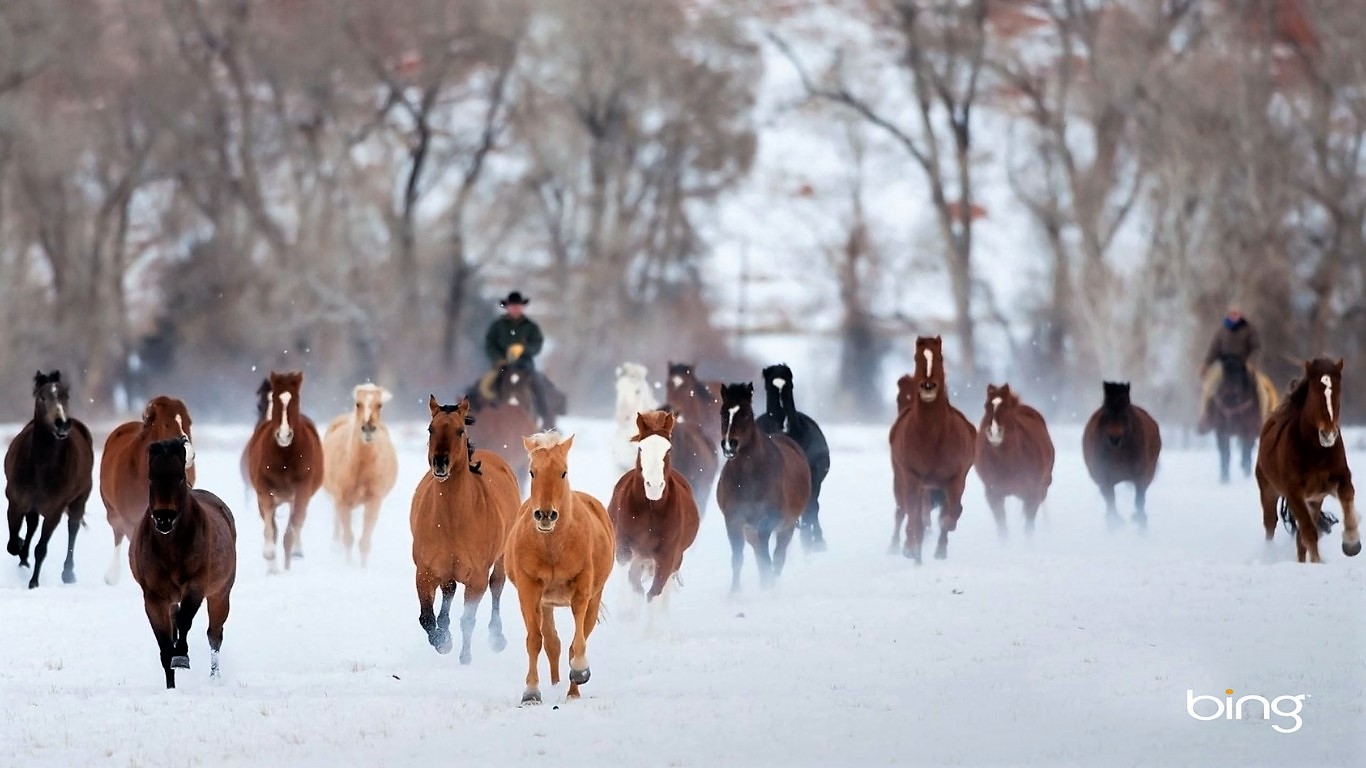 Pengchegs的个人主页（背景预览） - 主页背景设置 - 站酷设计师Pengchegs原创素材 - 站酷ZCOOL