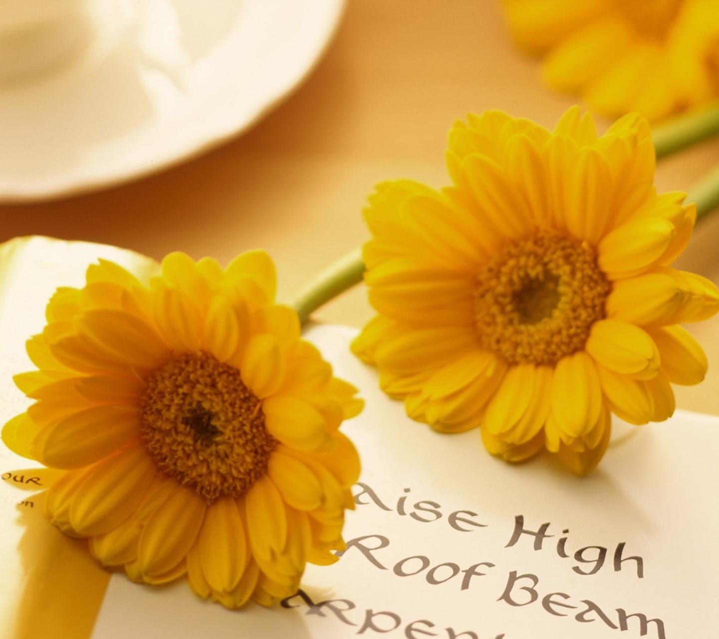 安夏91的个人主页（背景预览） - 主页背景设置 - 站酷设计师安夏91原创素材 - 站酷ZCOOL