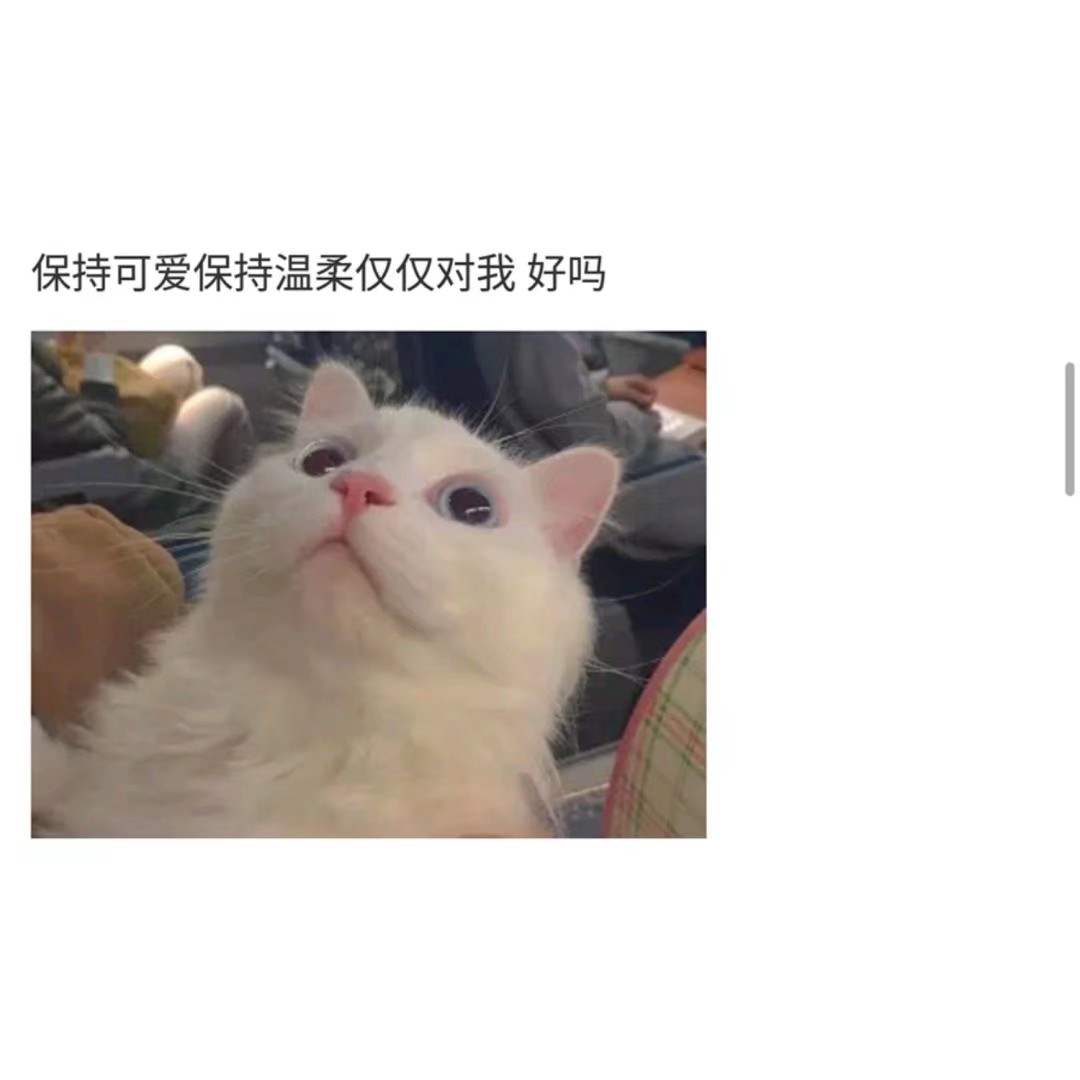 软软怪的个人主页（背景预览） - 主页背景设置 - 站酷设计师软软怪原创素材 - 站酷ZCOOL