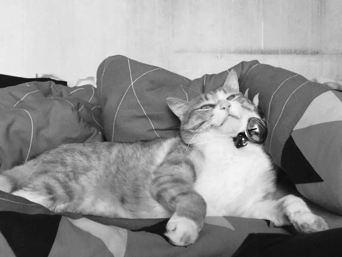 Frankr的个人主页（背景预览） - 主页背景设置 - 站酷设计师Frankr原创素材 - 站酷ZCOOL