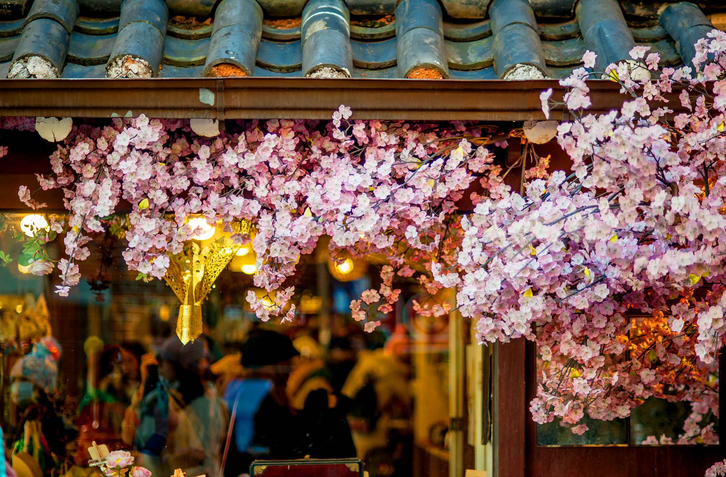 邊城舊詞的個(gè)人主頁(yè)（背景預(yù)覽） - 主頁(yè)背景設(shè)置 - 站酷設(shè)計(jì)師邊城舊詞原創(chuàng)素材 - 站酷ZCOOL