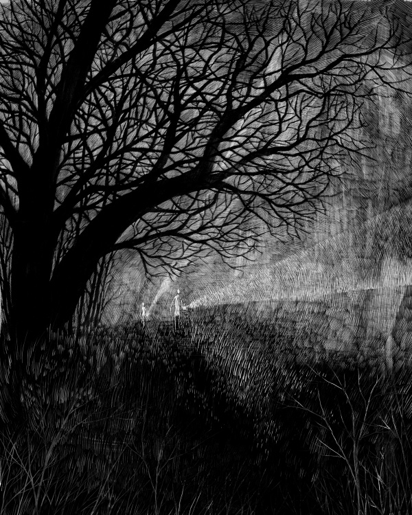 BZEbra的个人主页（背景预览） - 主页背景设置 - 站酷设计师BZEbra原创素材 - 站酷ZCOOL