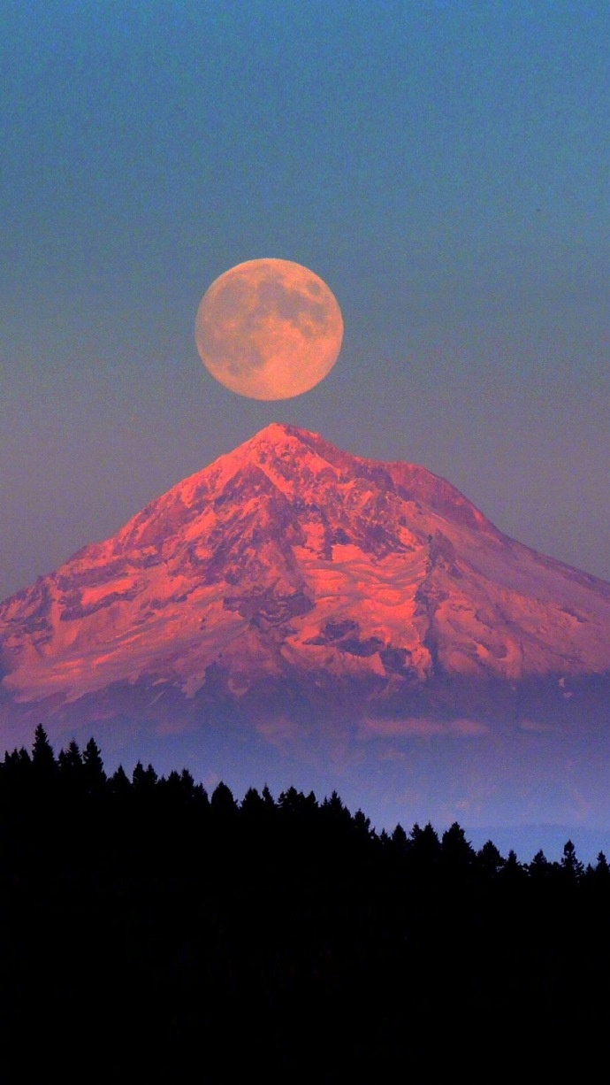 轻笑的小草莓的个人主页（背景预览） - 主页背景设置 - 站酷设计师轻笑的小草莓原创素材 - 站酷ZCOOL