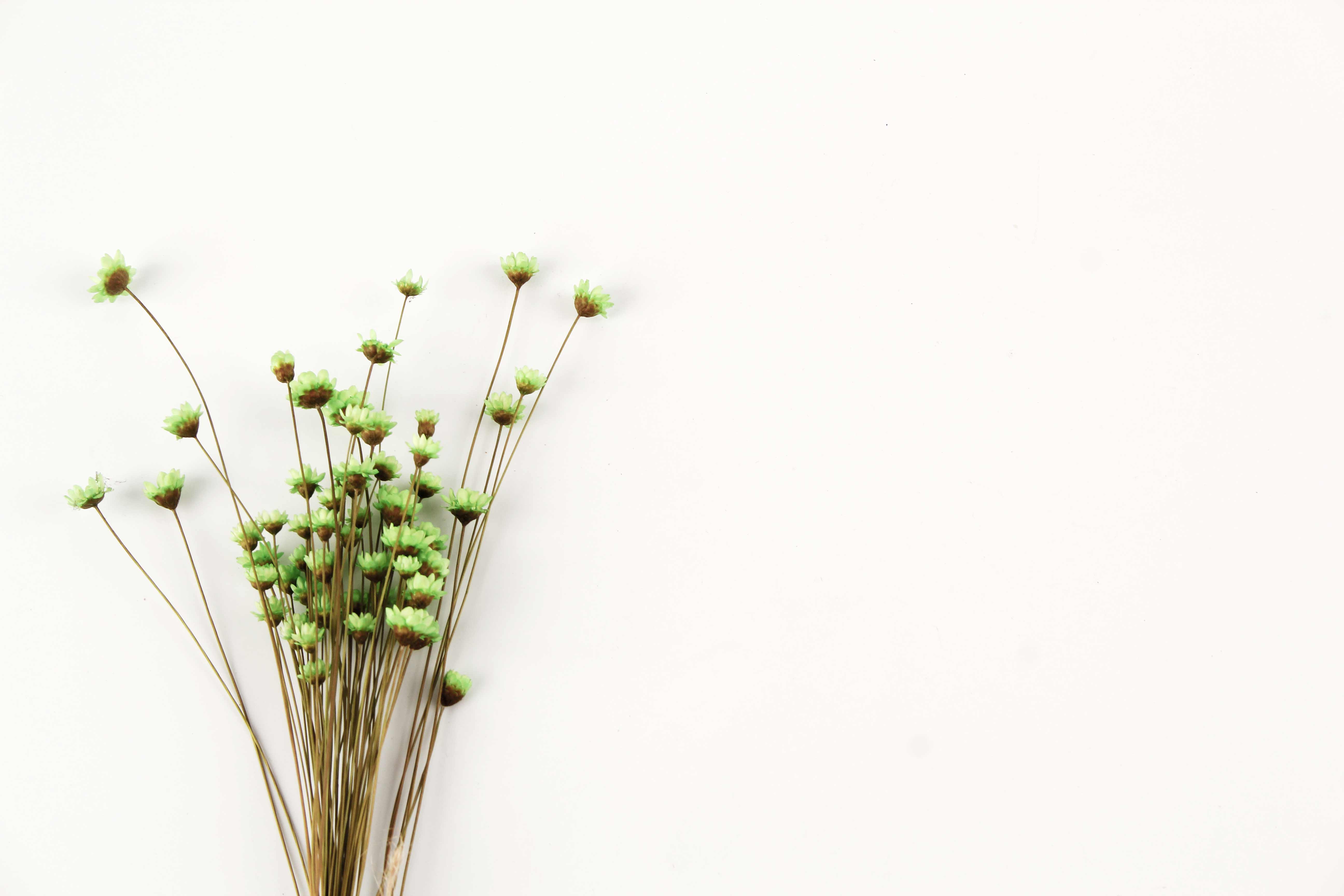 琵琶果的個(gè)人主頁(yè)（背景預(yù)覽） - 主頁(yè)背景設(shè)置 - 站酷設(shè)計(jì)師琵琶果原創(chuàng)素材 - 站酷ZCOOL