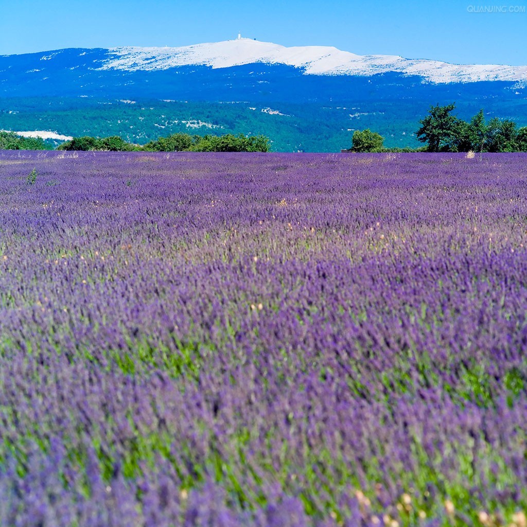 ahwanghao1943的個人主頁（背景預覽） - 主頁背景設置 - 站酷設計師ahwanghao1943原創(chuàng)素材 - 站酷ZCOOL