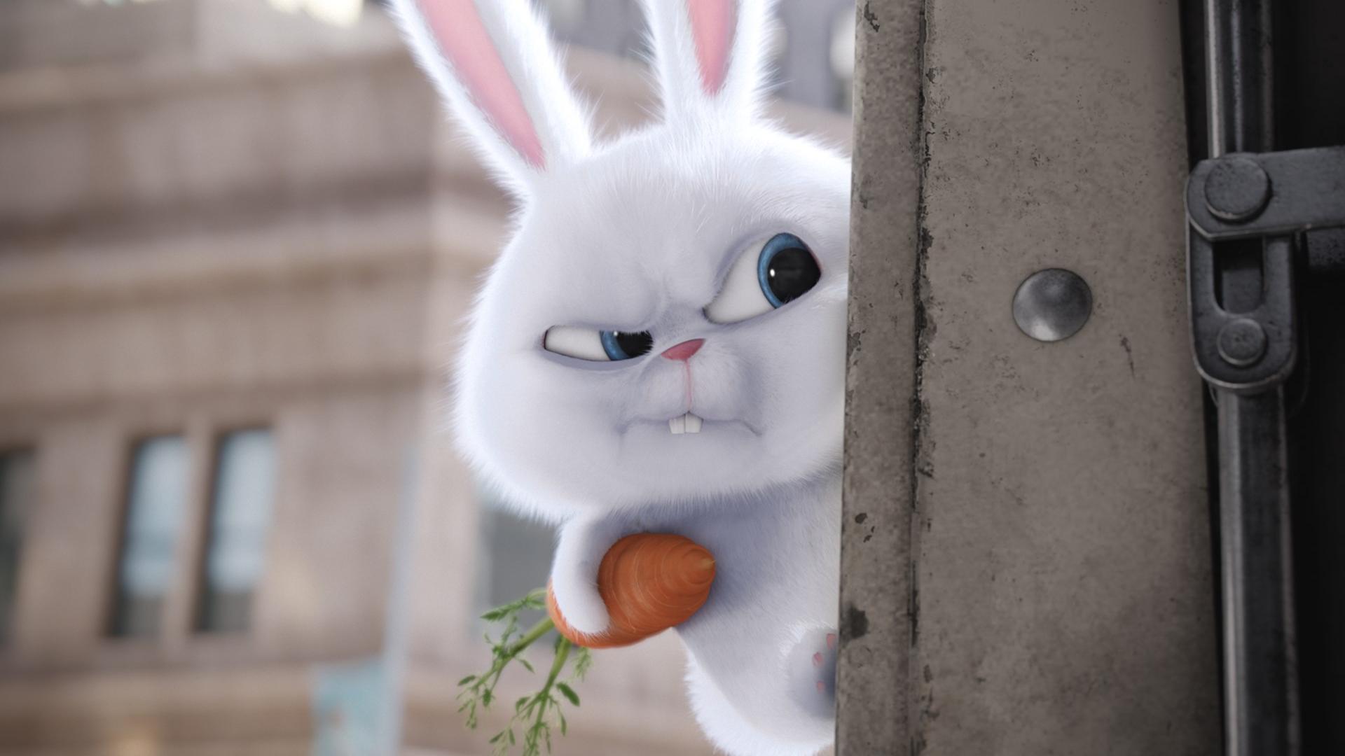 Tango_vision的个人主页（背景预览） - 主页背景设置 - 站酷设计师Tango_vision原创素材 - 站酷ZCOOL