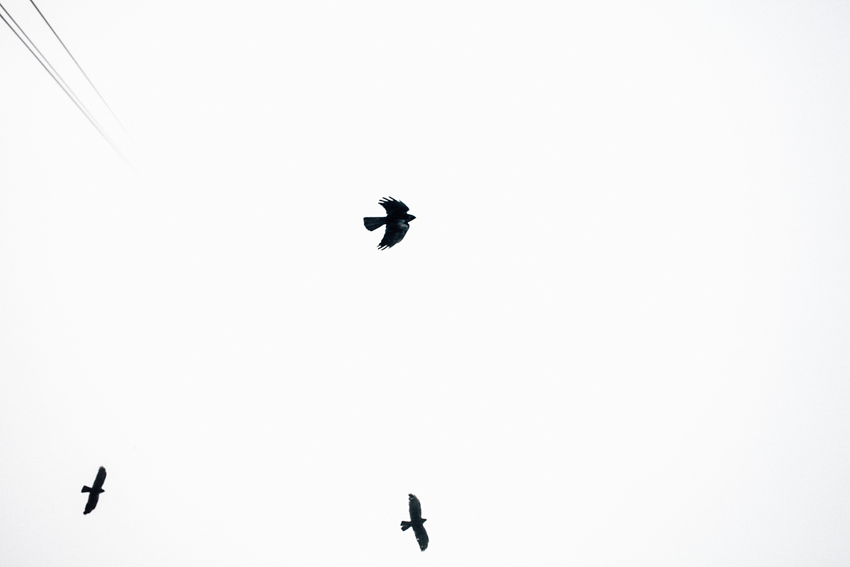 半糖栗子的個(gè)人主頁(yè)（背景預(yù)覽） - 主頁(yè)背景設(shè)置 - 站酷設(shè)計(jì)師半糖栗子原創(chuàng)素材 - 站酷ZCOOL