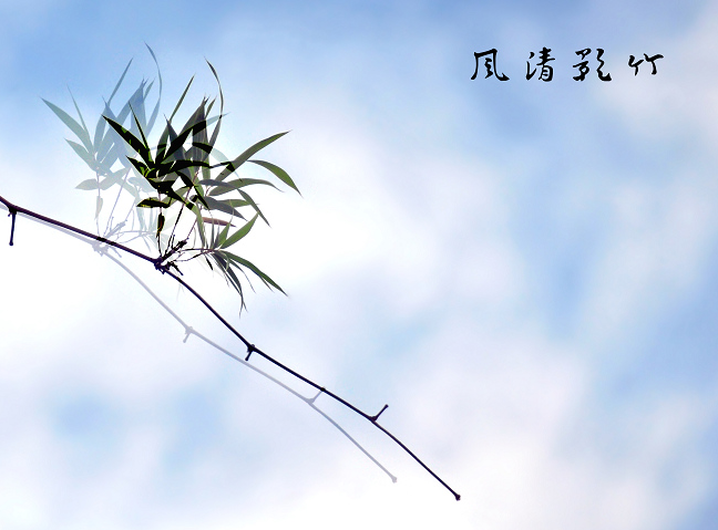 竹影拂尘的个人主页（背景预览） - 主页背景设置 - 站酷设计师竹影拂尘原创素材 - 站酷ZCOOL