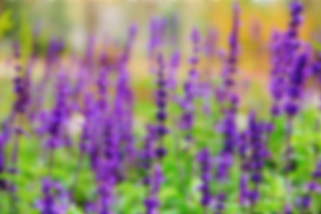 雪羚的个人主页（背景预览） - 主页背景设置 - 站酷设计师雪羚原创素材 - 站酷ZCOOL