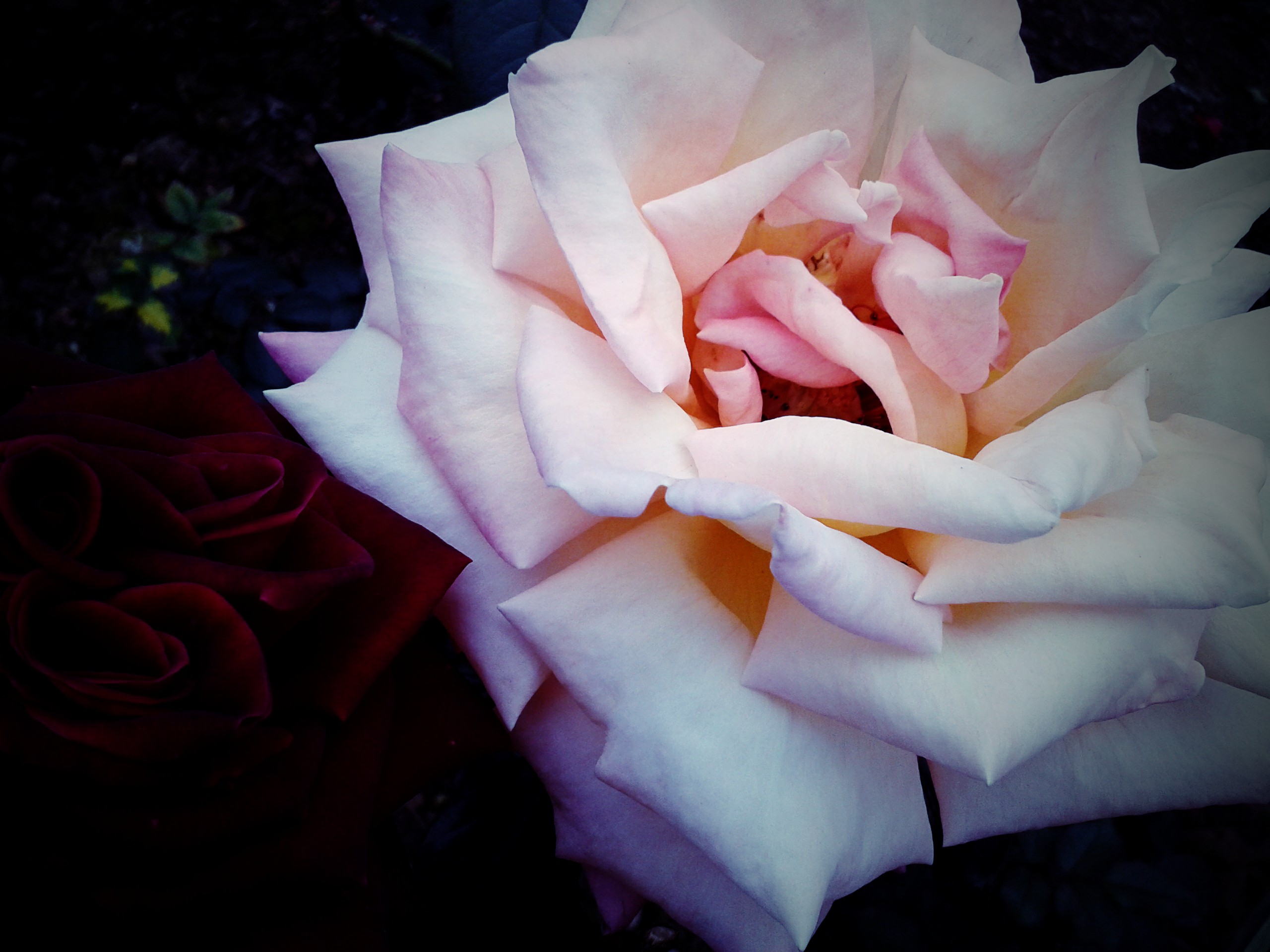 anouily的個人主頁（背景預覽） - 主頁背景設置 - 站酷設計師anouily原創(chuàng)素材 - 站酷ZCOOL