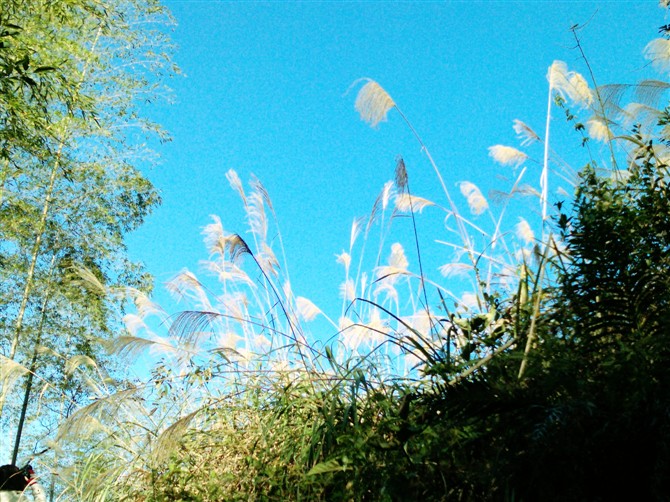 哎呀CQ的個(gè)人主頁（背景預(yù)覽） - 主頁背景設(shè)置 - 站酷設(shè)計(jì)師哎呀CQ原創(chuàng)素材 - 站酷ZCOOL