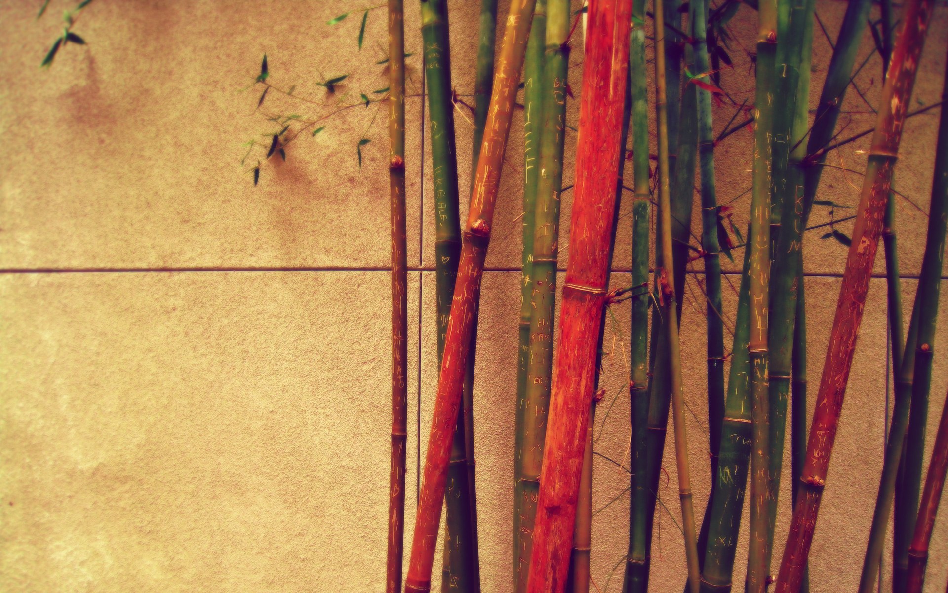 BruceYe的個(gè)人主頁(yè)（背景預(yù)覽） - 主頁(yè)背景設(shè)置 - 站酷設(shè)計(jì)師BruceYe原創(chuàng)素材 - 站酷ZCOOL