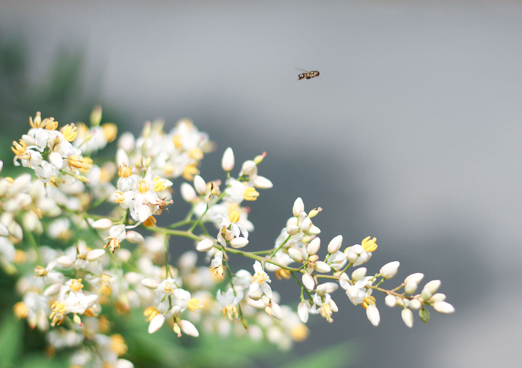 一修_的个人主页（背景预览） - 主页背景设置 - 站酷设计师一修_原创素材 - 站酷ZCOOL