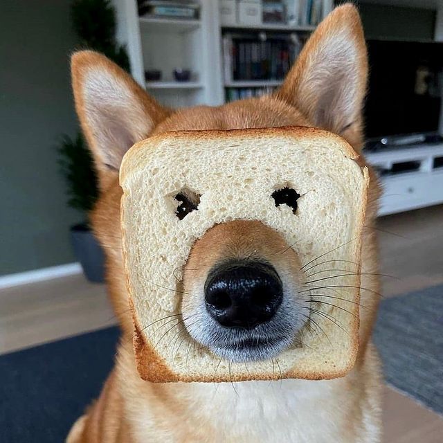 昂易的個(gè)人主頁(yè)（背景預(yù)覽） - 主頁(yè)背景設(shè)置 - 站酷設(shè)計(jì)師昂易原創(chuàng)素材 - 站酷ZCOOL