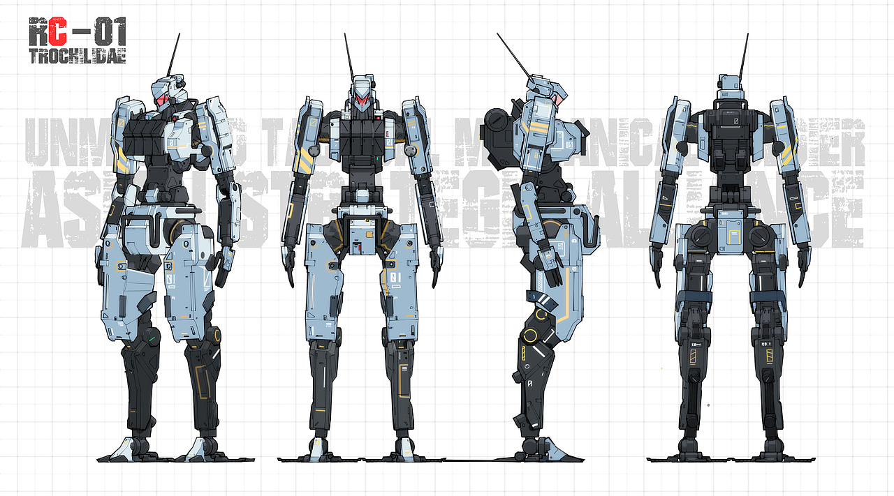 战术标准素体设计图