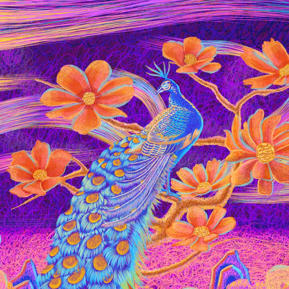 CO2NUT的个人主页（背景预览） - 主页背景设置 - 站酷设计师CO2NUT原创素材 - 站酷ZCOOL