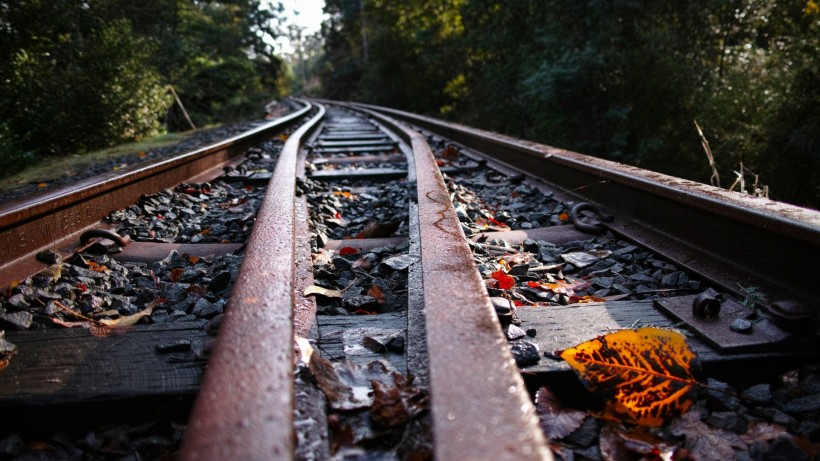 沙滩上的一条鱼的个人主页（背景预览） - 主页背景设置 - 站酷设计师沙滩上的一条鱼原创素材 - 站酷ZCOOL