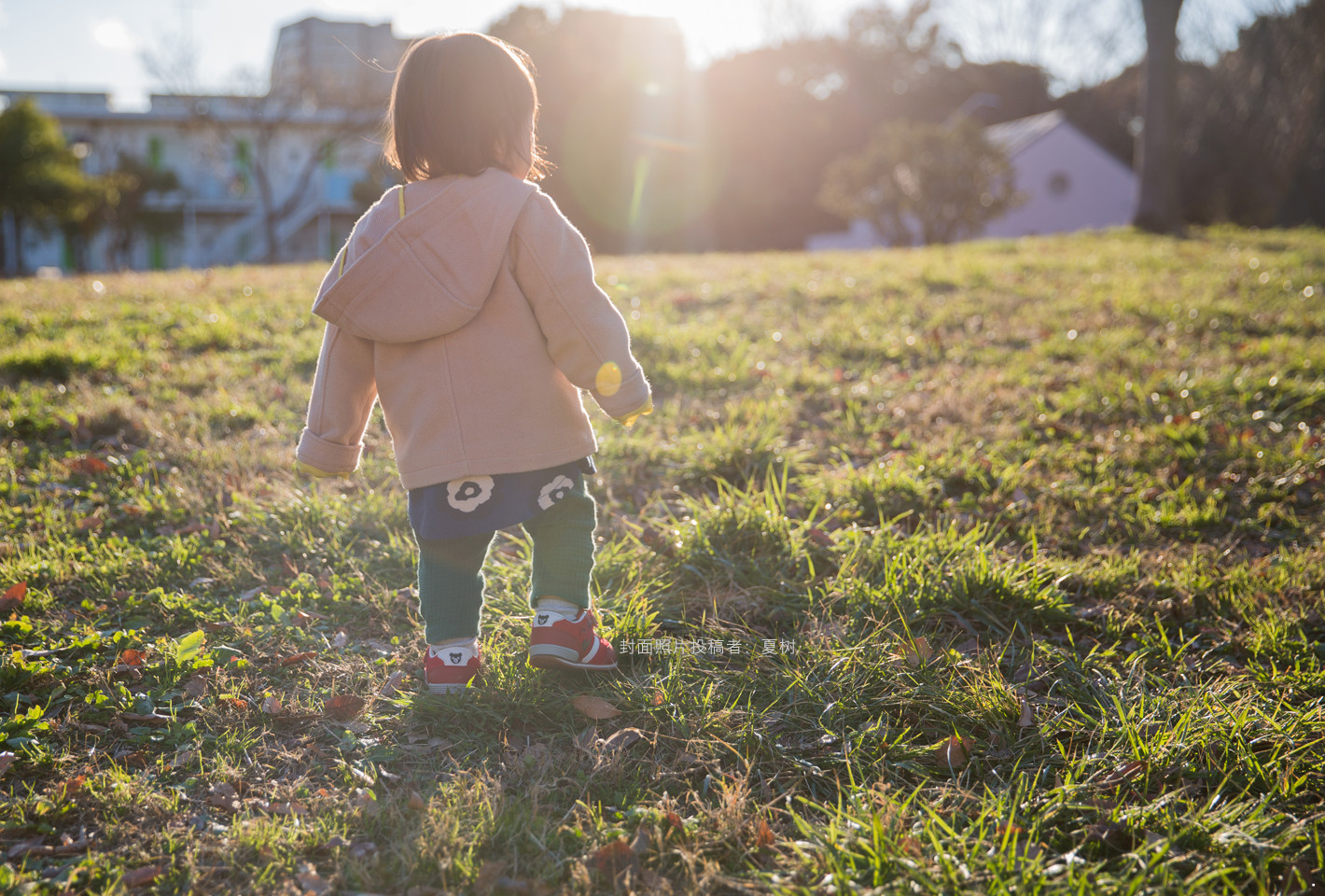 木木貓的個人主頁（背景預(yù)覽） - 主頁背景設(shè)置 - 站酷設(shè)計師木木貓原創(chuàng)素材 - 站酷ZCOOL