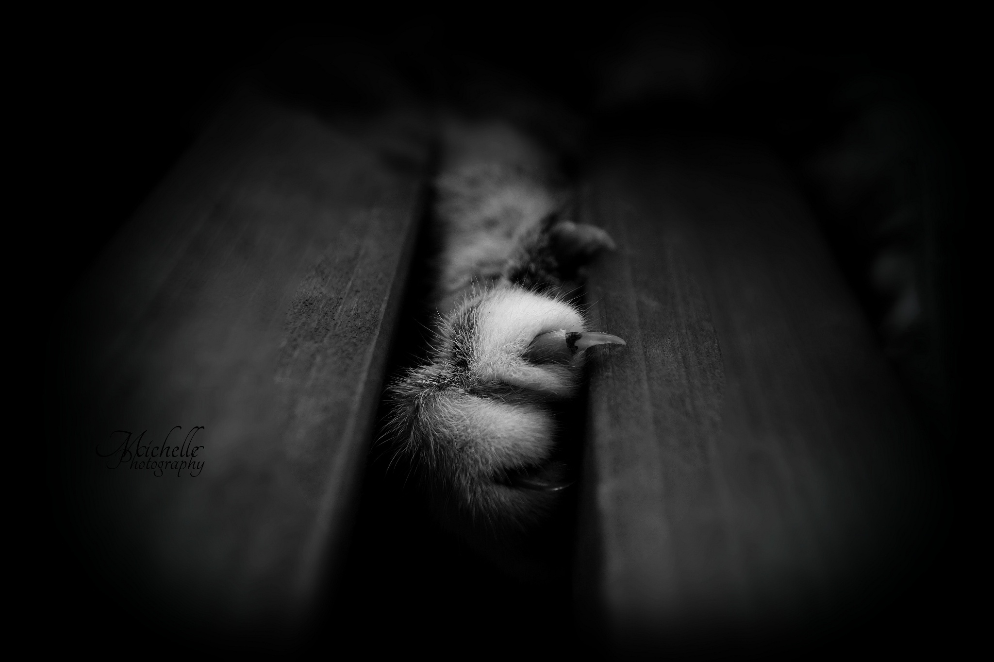 ueyP的個人主頁（背景預(yù)覽） - 主頁背景設(shè)置 - 站酷設(shè)計師ueyP原創(chuàng)素材 - 站酷ZCOOL