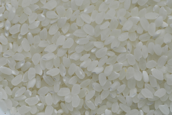 leftori的个人主页（背景预览） - 主页背景设置 - 站酷设计师leftori原创素材 - 站酷ZCOOL