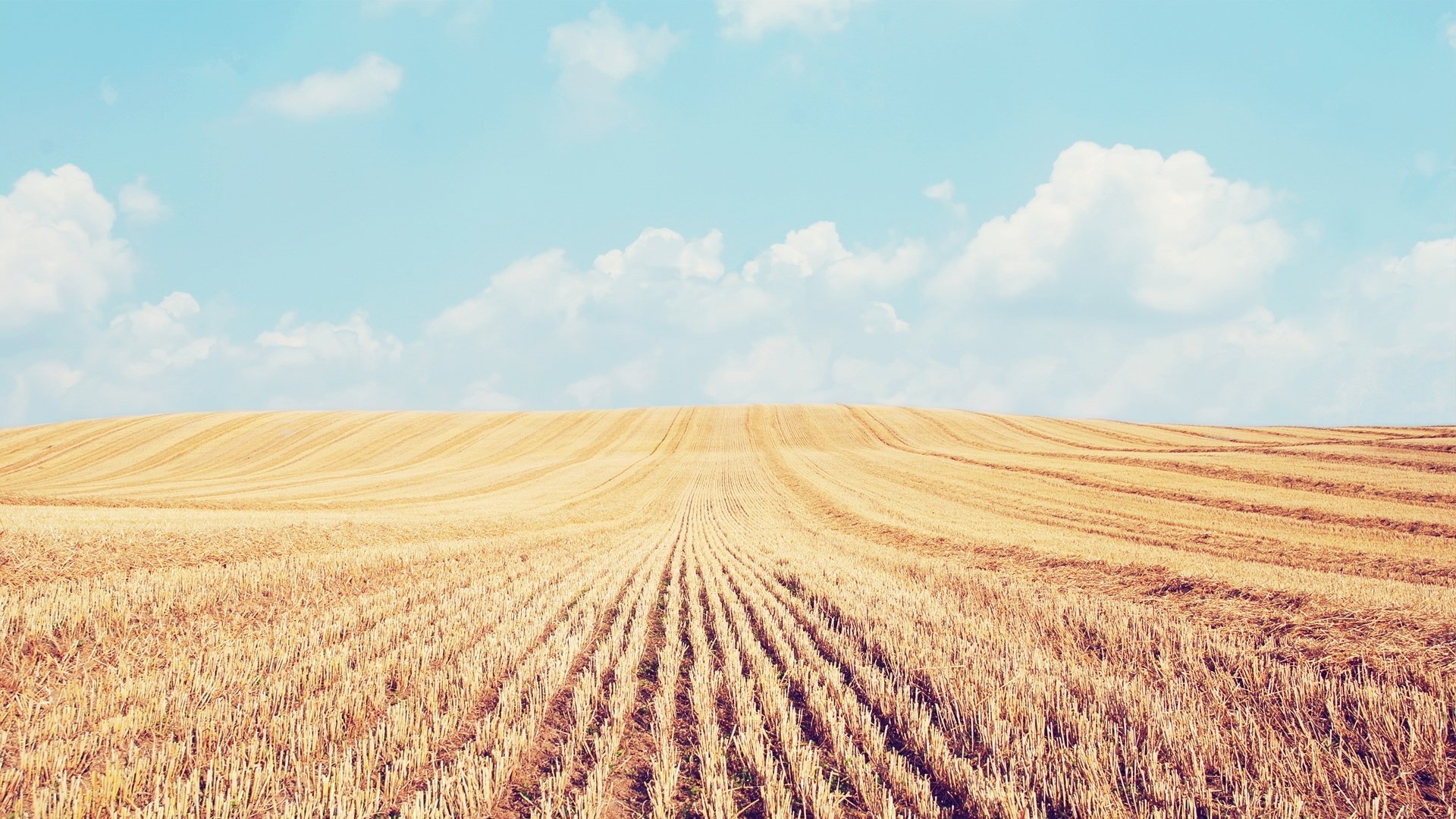 焦糖LATTE的個(gè)人主頁(yè)（背景預(yù)覽） - 主頁(yè)背景設(shè)置 - 站酷設(shè)計(jì)師焦糖LATTE原創(chuàng)素材 - 站酷ZCOOL