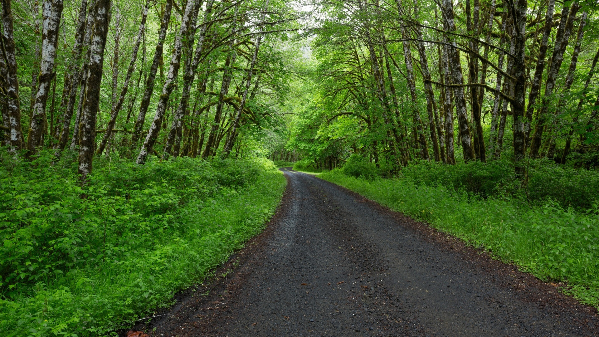 義烏郁苒攝影服務(wù)的個人主頁（背景預(yù)覽） - 主頁背景設(shè)置 - 站酷設(shè)計師義烏郁苒攝影服務(wù)原創(chuàng)素材 - 站酷ZCOOL