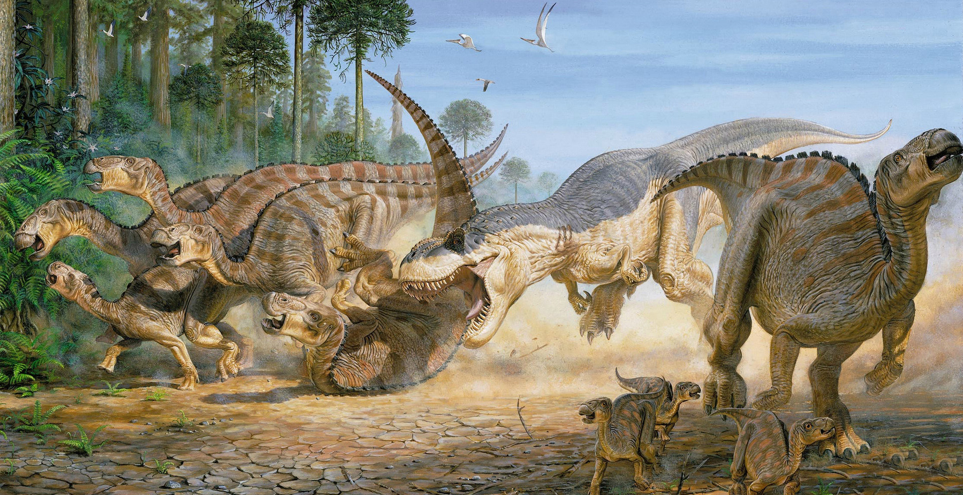 319號(hào)大叔的個(gè)人主頁（背景預(yù)覽） - 主頁背景設(shè)置 - 站酷設(shè)計(jì)師319號(hào)大叔原創(chuàng)素材 - 站酷ZCOOL