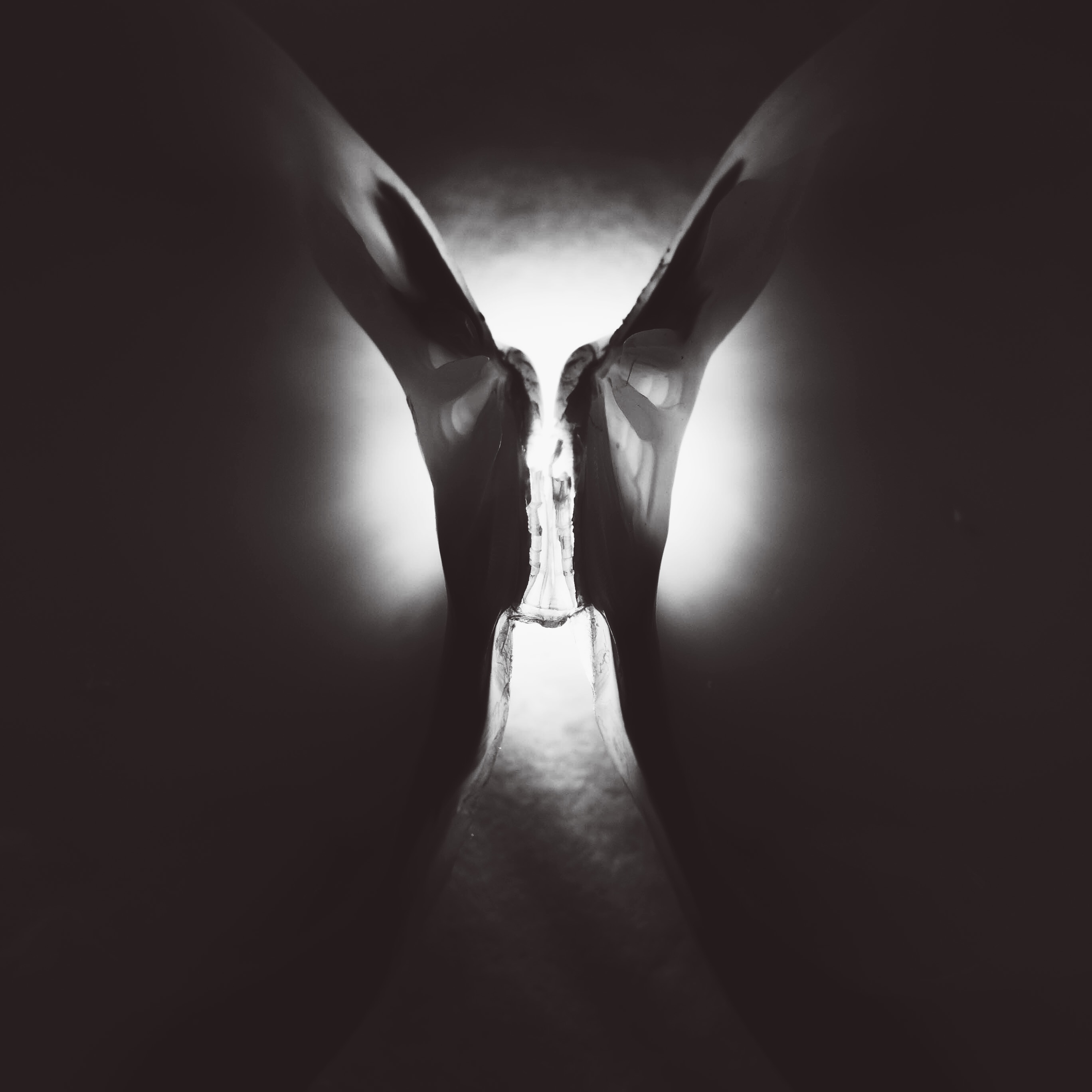 壹拾贰12的个人主页（背景预览） - 主页背景设置 - 站酷设计师壹拾贰12原创素材 - 站酷ZCOOL