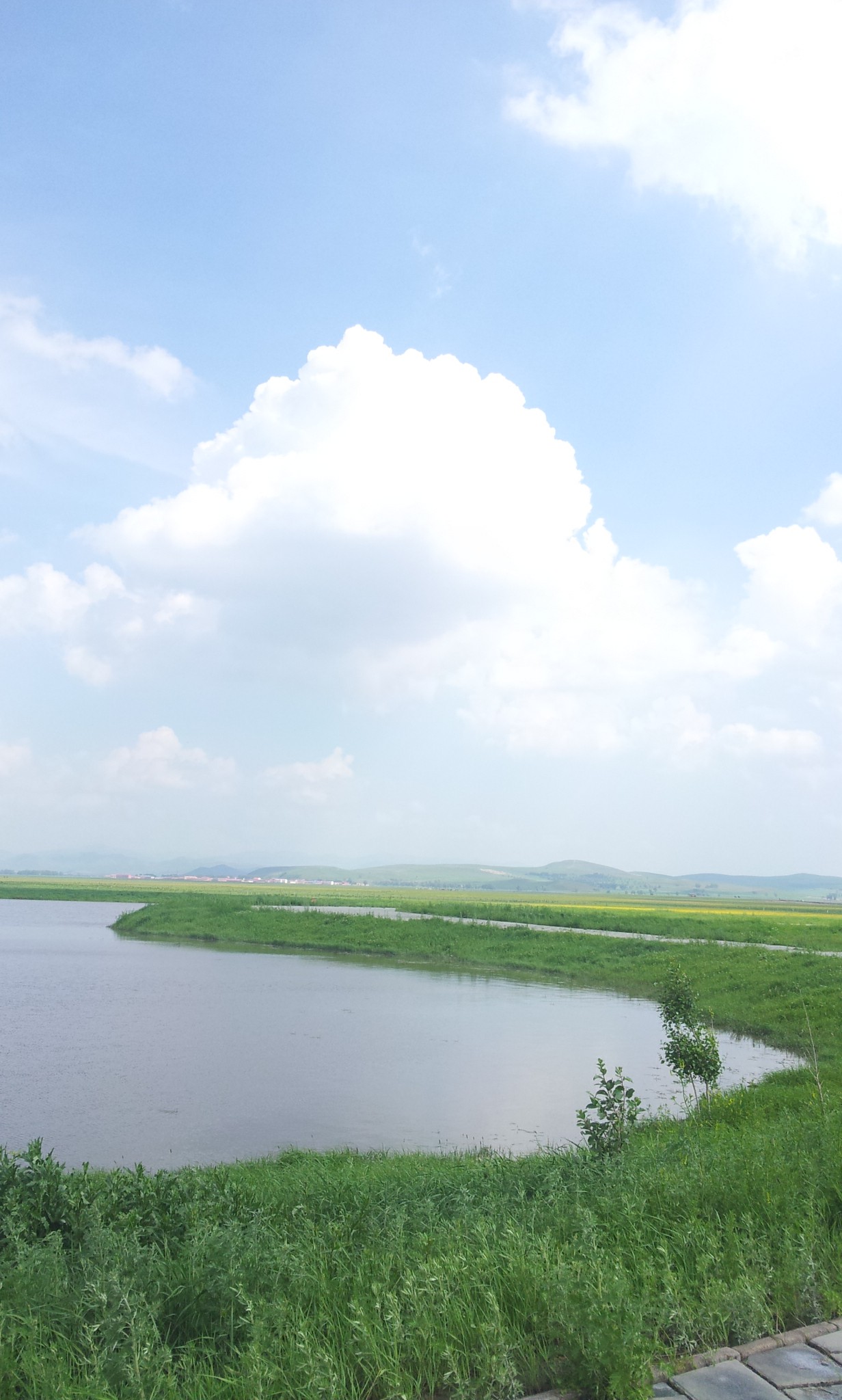 tongtong_123的個人主頁（背景預覽） - 主頁背景設置 - 站酷設計師tongtong_123原創(chuàng)素材 - 站酷ZCOOL