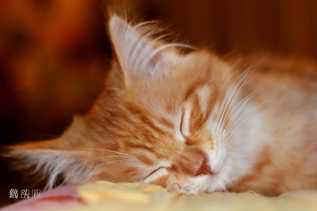 文刀阁隼风的个人主页（背景预览） - 主页背景设置 - 站酷设计师文刀阁隼风原创素材 - 站酷ZCOOL