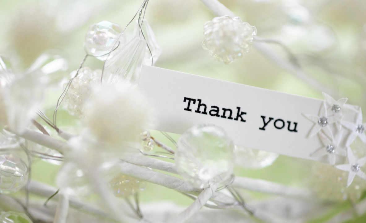 瘦瘦的多肉的个人主页（背景预览） - 主页背景设置 - 站酷设计师瘦瘦的多肉原创素材 - 站酷ZCOOL