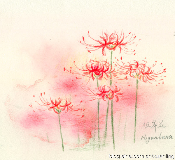 宋九儿的个人主页（背景预览） - 主页背景设置 - 站酷设计师宋九儿原创素材 - 站酷ZCOOL