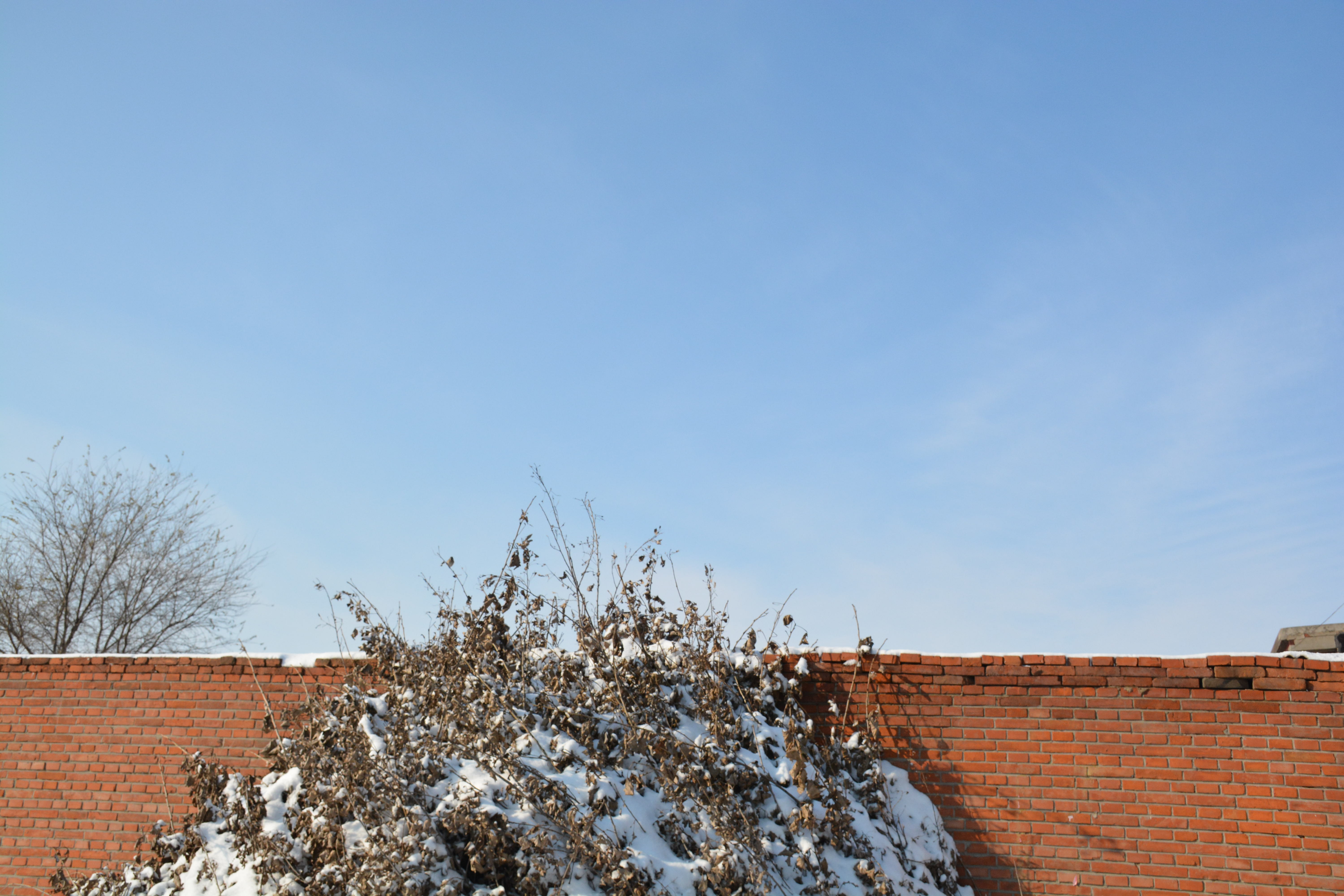 文馨妨的个人主页（背景预览） - 主页背景设置 - 站酷设计师文馨妨原创素材 - 站酷ZCOOL
