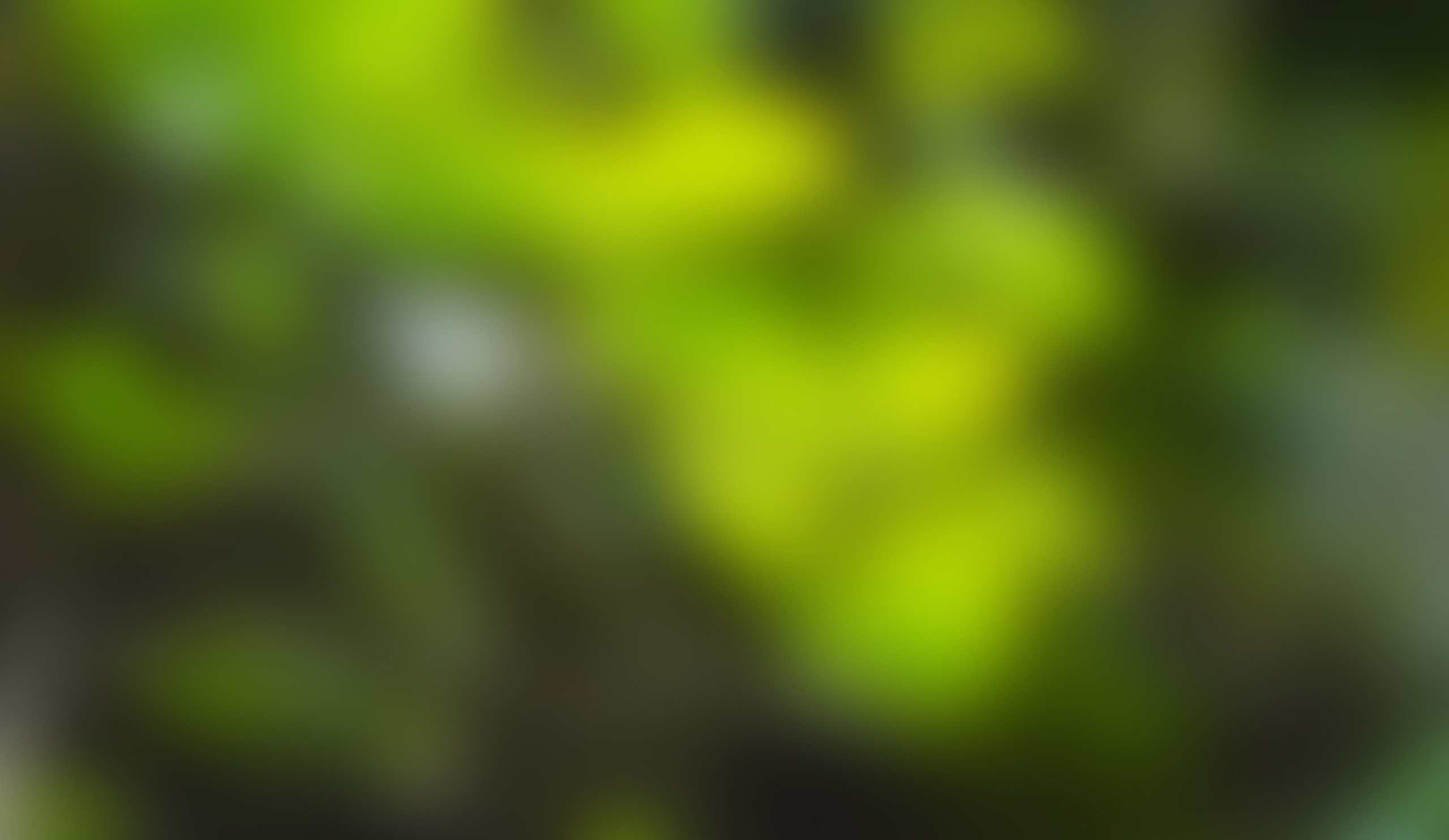 我就是隨便看看90的個(gè)人主頁(yè)（背景預(yù)覽） - 主頁(yè)背景設(shè)置 - 站酷設(shè)計(jì)師我就是隨便看看90原創(chuàng)素材 - 站酷ZCOOL