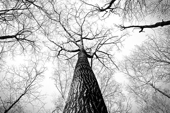 Lizee的个人主页（背景预览） - 主页背景设置 - 站酷设计师Lizee原创素材 - 站酷ZCOOL