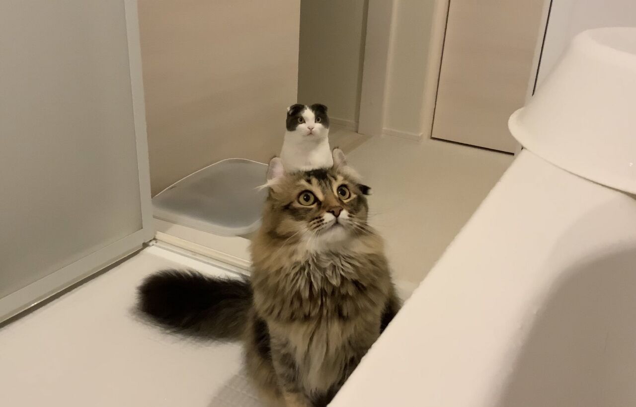 愛德娜的個(gè)人主頁（背景預(yù)覽） - 主頁背景設(shè)置 - 站酷設(shè)計(jì)師愛德娜原創(chuàng)素材 - 站酷ZCOOL