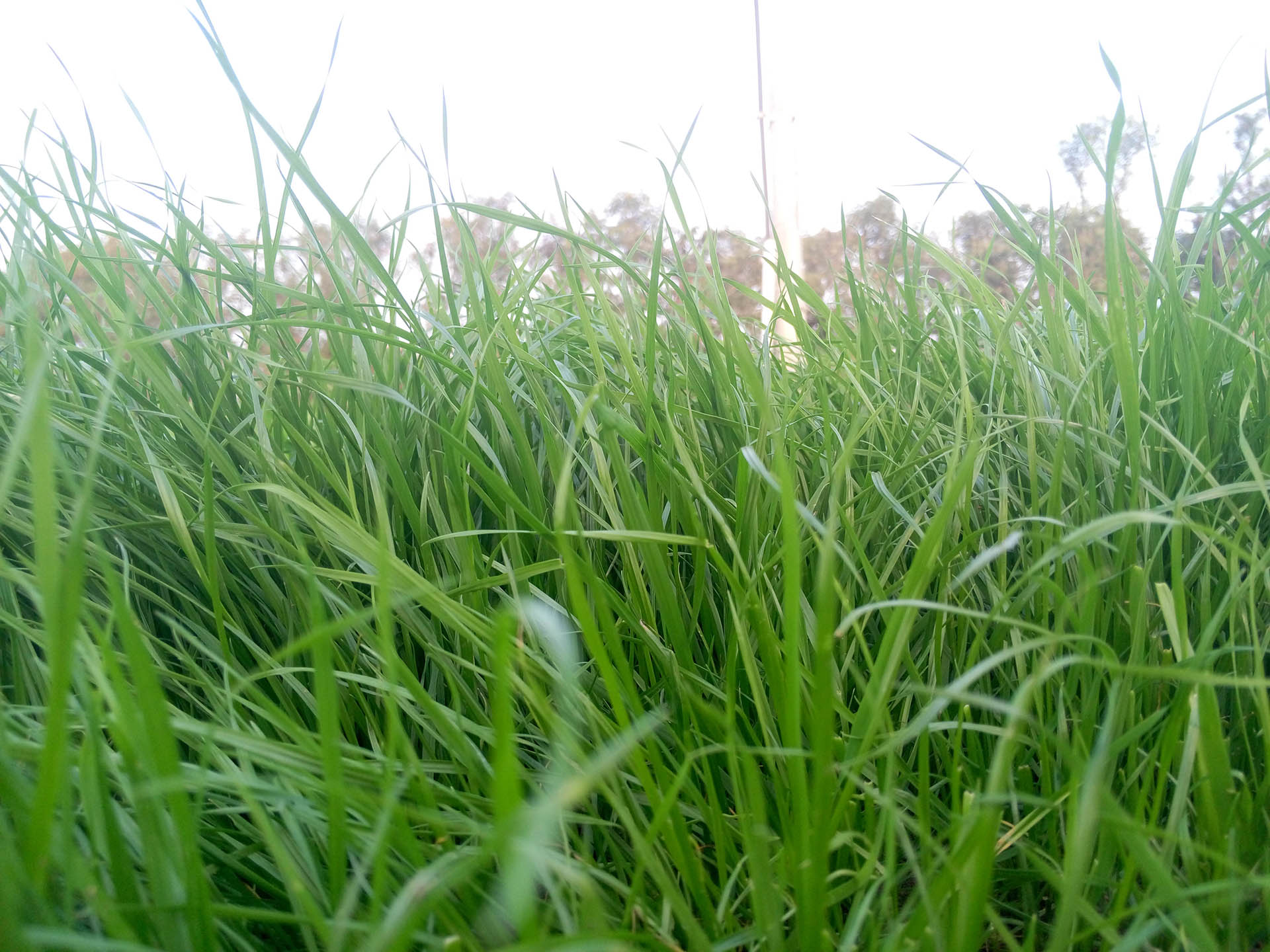 xizhouzhiyi的个人主页（背景预览） - 主页背景设置 - 站酷设计师xizhouzhiyi原创素材 - 站酷ZCOOL