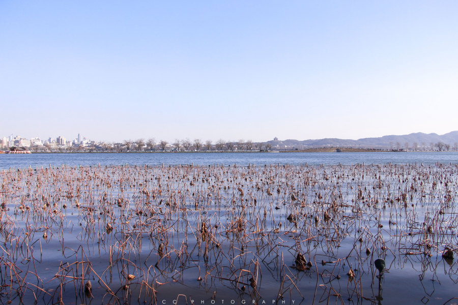 AMY丫的个人主页（背景预览） - 主页背景设置 - 站酷设计师AMY丫原创素材 - 站酷ZCOOL