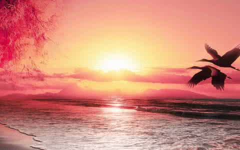 漂泊的小楠瓜的个人主页（背景预览） - 主页背景设置 - 站酷设计师漂泊的小楠瓜原创素材 - 站酷ZCOOL