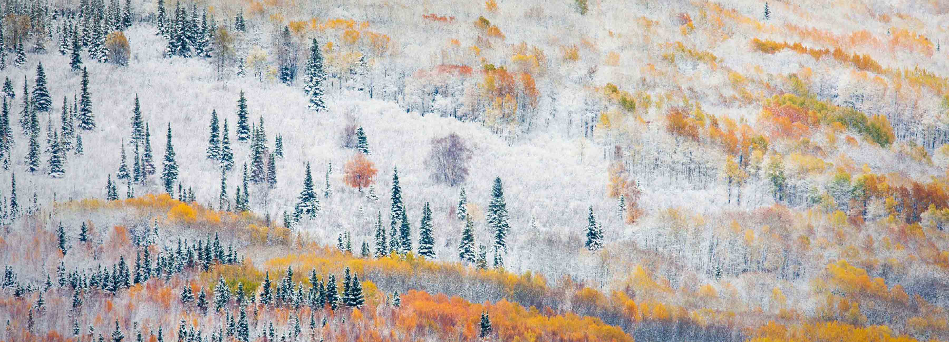 Fedongy冬的个人主页（背景预览） - 主页背景设置 - 站酷设计师Fedongy冬原创素材 - 站酷ZCOOL