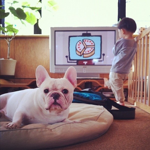 drew的个人主页（背景预览） - 主页背景设置 - 站酷设计师drew原创素材 - 站酷ZCOOL