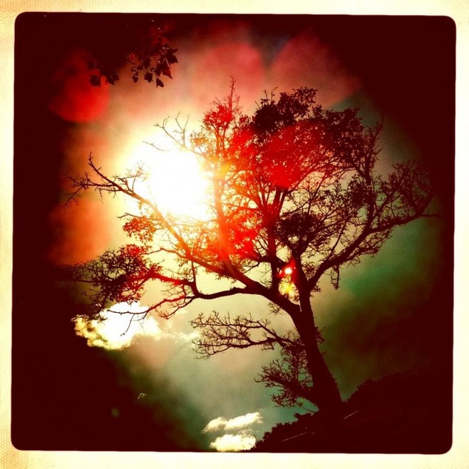 丢耳朵的个人主页（背景预览） - 主页背景设置 - 站酷设计师丢耳朵原创素材 - 站酷ZCOOL