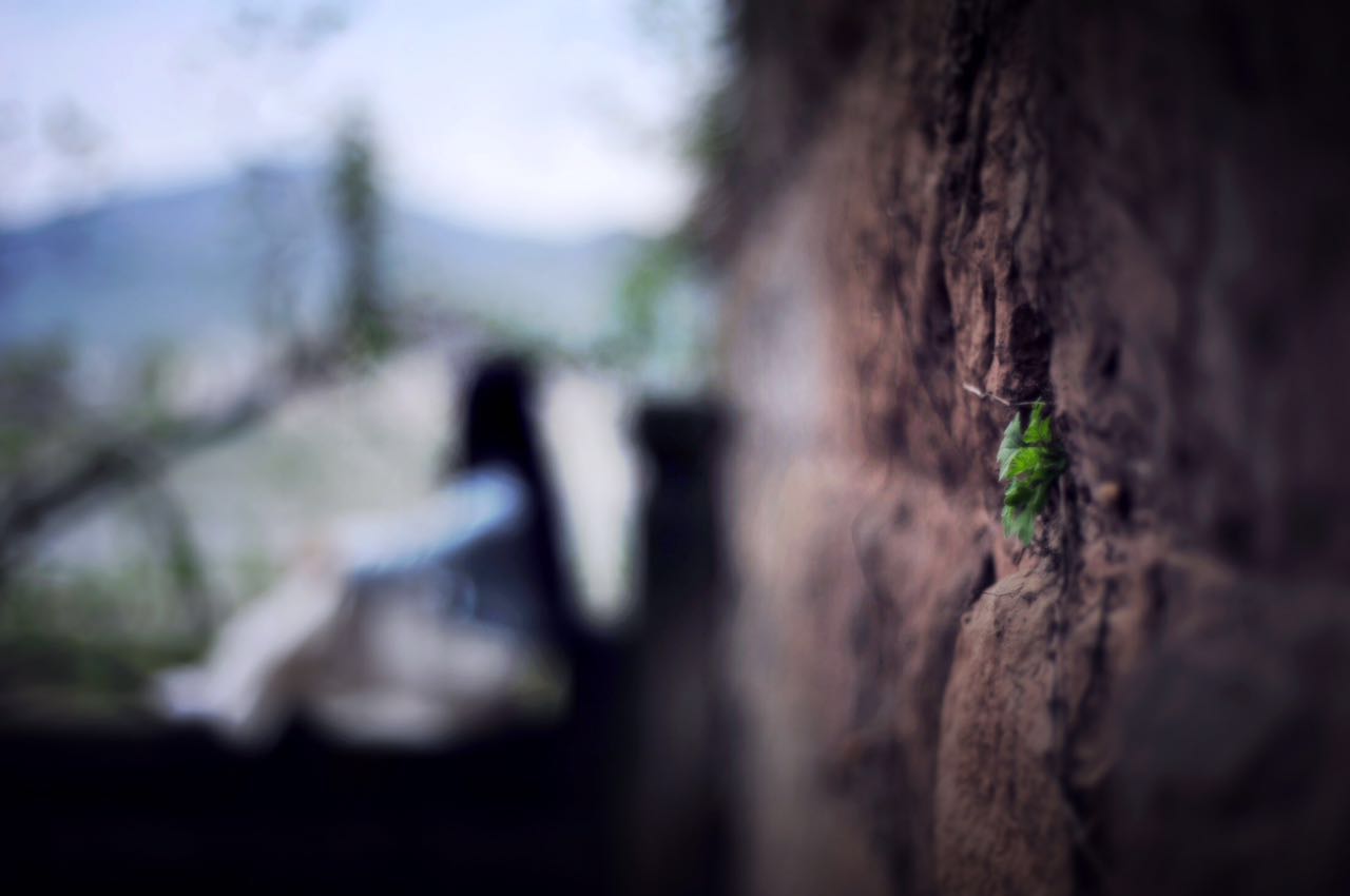 朱宏美的个人主页（背景预览） - 主页背景设置 - 站酷设计师朱宏美原创素材 - 站酷ZCOOL