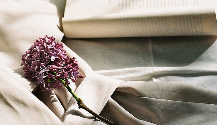 沐筱葉的個人主頁（背景預(yù)覽） - 主頁背景設(shè)置 - 站酷設(shè)計(jì)師沐筱葉原創(chuàng)素材 - 站酷ZCOOL