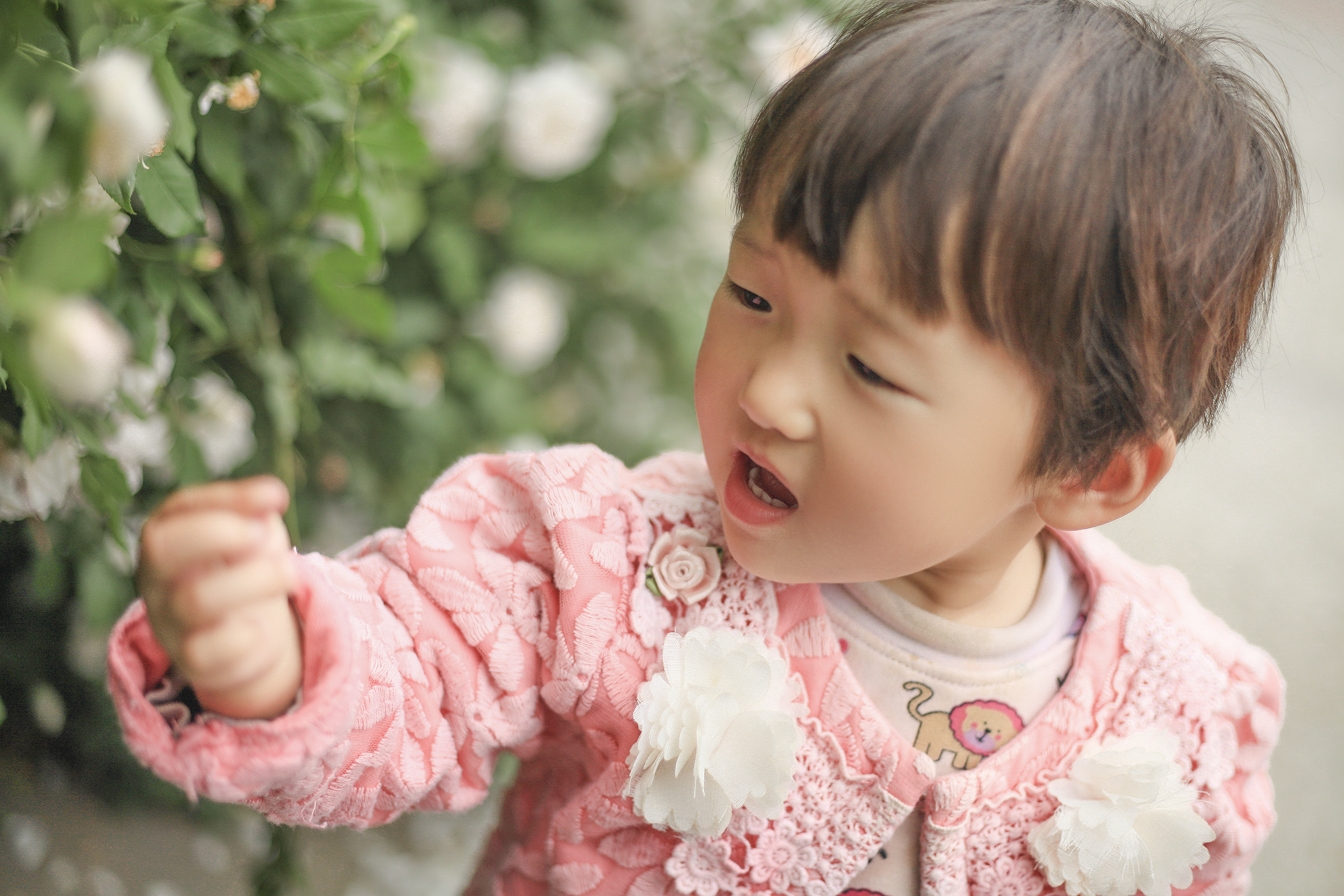 主旋律辰兒的個(gè)人主頁（背景預(yù)覽） - 主頁背景設(shè)置 - 站酷設(shè)計(jì)師主旋律辰兒原創(chuàng)素材 - 站酷ZCOOL