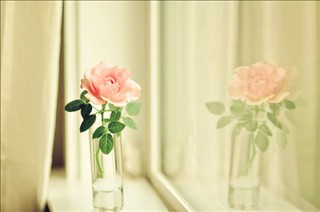 小雨滴2390的个人主页（背景预览） - 主页背景设置 - 站酷设计师小雨滴2390原创素材 - 站酷ZCOOL