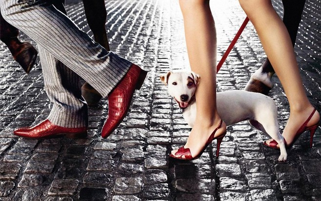 yangdongxue的个人主页（背景预览） - 主页背景设置 - 站酷设计师yangdongxue原创素材 - 站酷ZCOOL