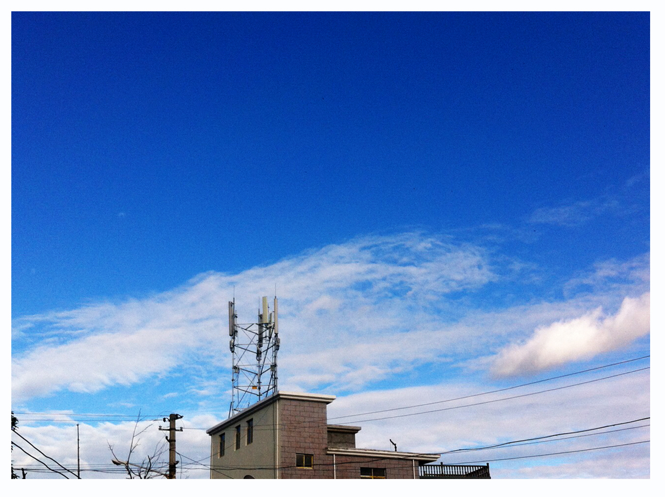 FLOWER_JFF的个人主页（背景预览） - 主页背景设置 - 站酷设计师FLOWER_JFF原创素材 - 站酷ZCOOL