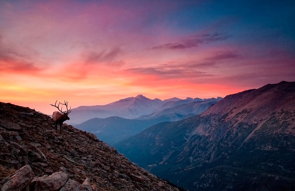 白粥1的個(gè)人主頁(yè)（背景預(yù)覽） - 主頁(yè)背景設(shè)置 - 站酷設(shè)計(jì)師白粥1原創(chuàng)素材 - 站酷ZCOOL