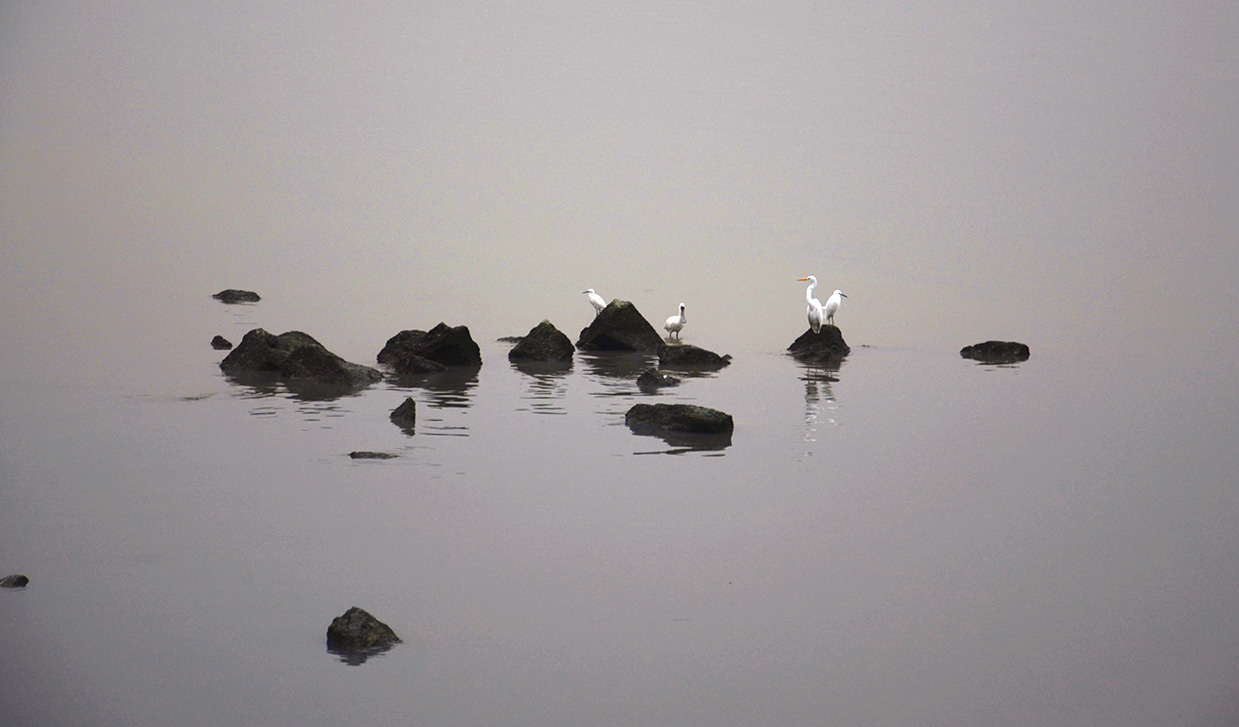 Tomtao_tao的个人主页（背景预览） - 主页背景设置 - 站酷设计师Tomtao_tao原创素材 - 站酷ZCOOL